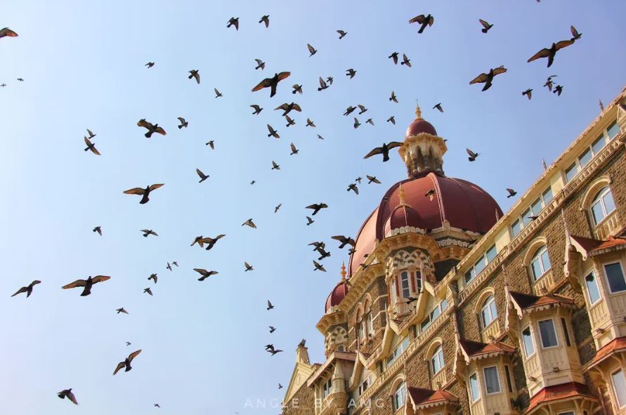 Birds Over Taj — Landscape photograph by Arjun M G (Arjun Gangadharan Madathumpadi), Mumbai, India