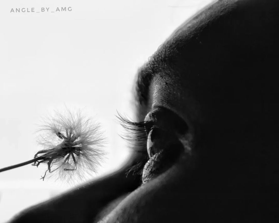 Dandelion — Fine Art photograph by Arjun M G (Arjun Gangadharan Madathumpadi), Mumbai, India